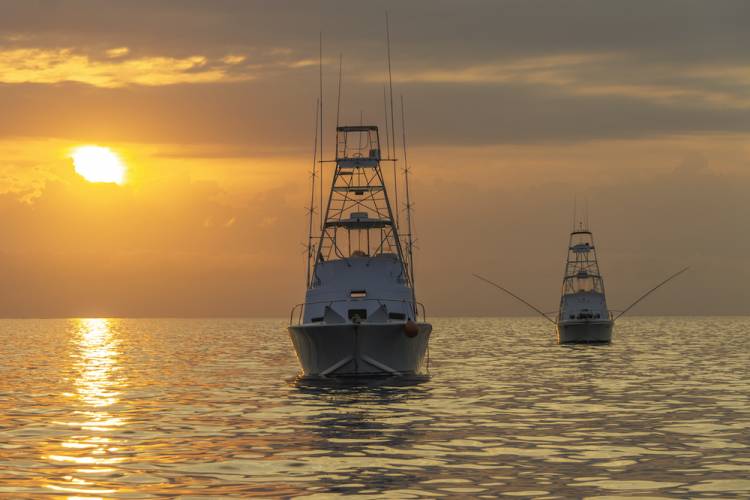 Things To Do Capt. Anderson's Marina